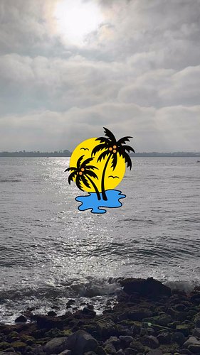 Can’t wait for vacation…. #california #sandiego #instadaily #punkrock #fdt