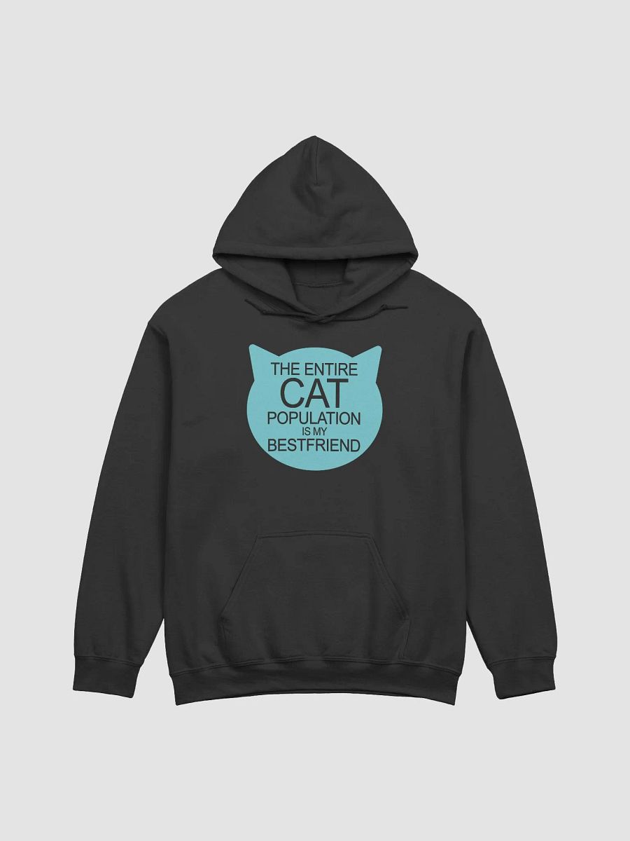 Cat population friend - hoodie product image (7)