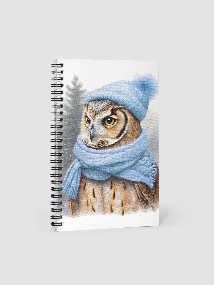 Adorable cute owl wearing a Blue hat and scarf product image (1)