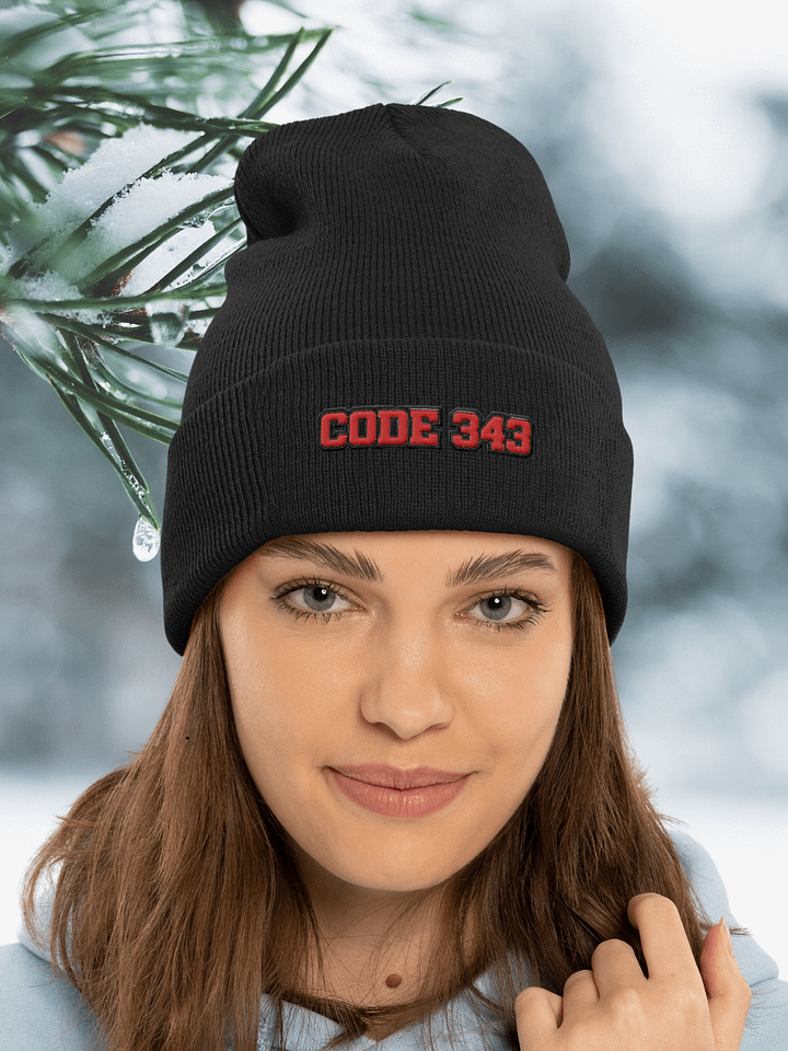 Code 343 Hat product image (1)