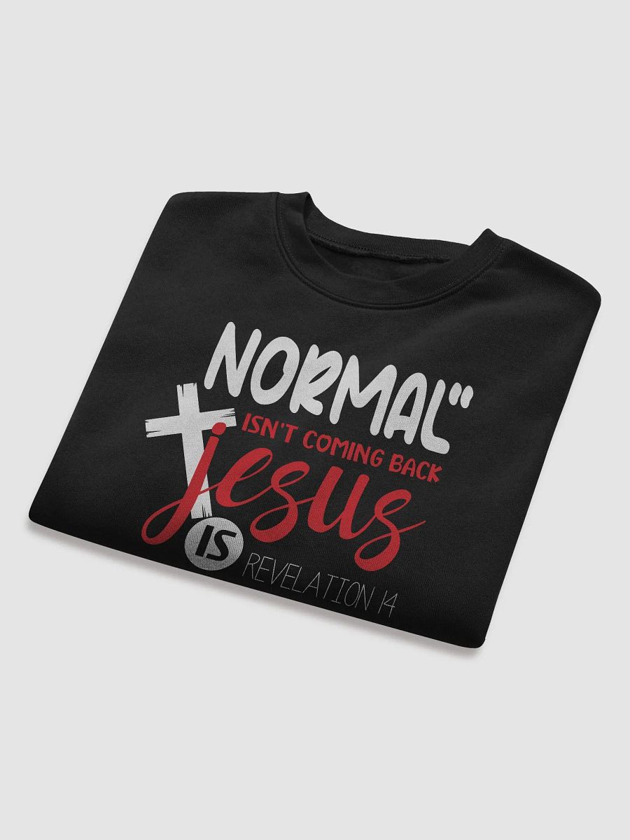 Revelation's Return: Jesus, Beyond Normalcy product image (9)