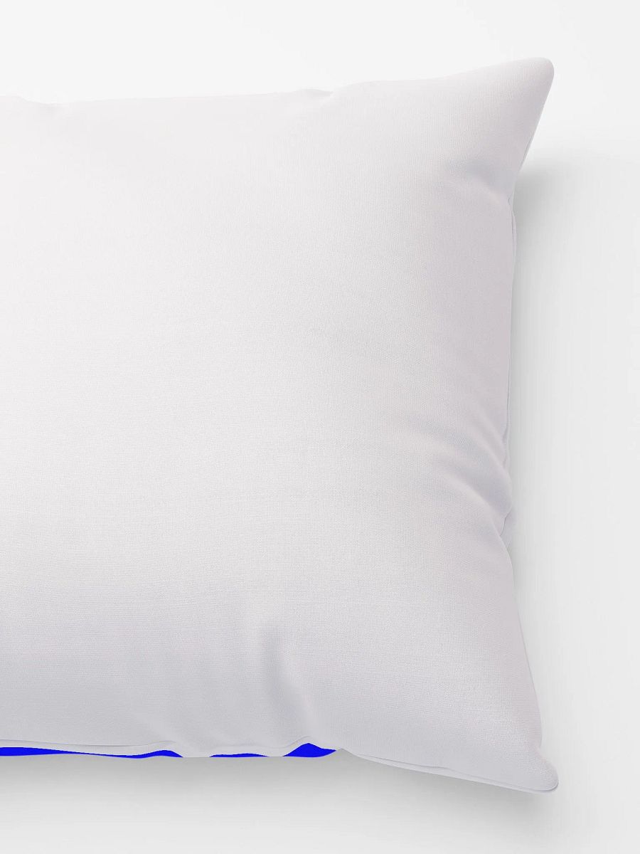DIARRHEA MEGAN PILLOW product image (3)