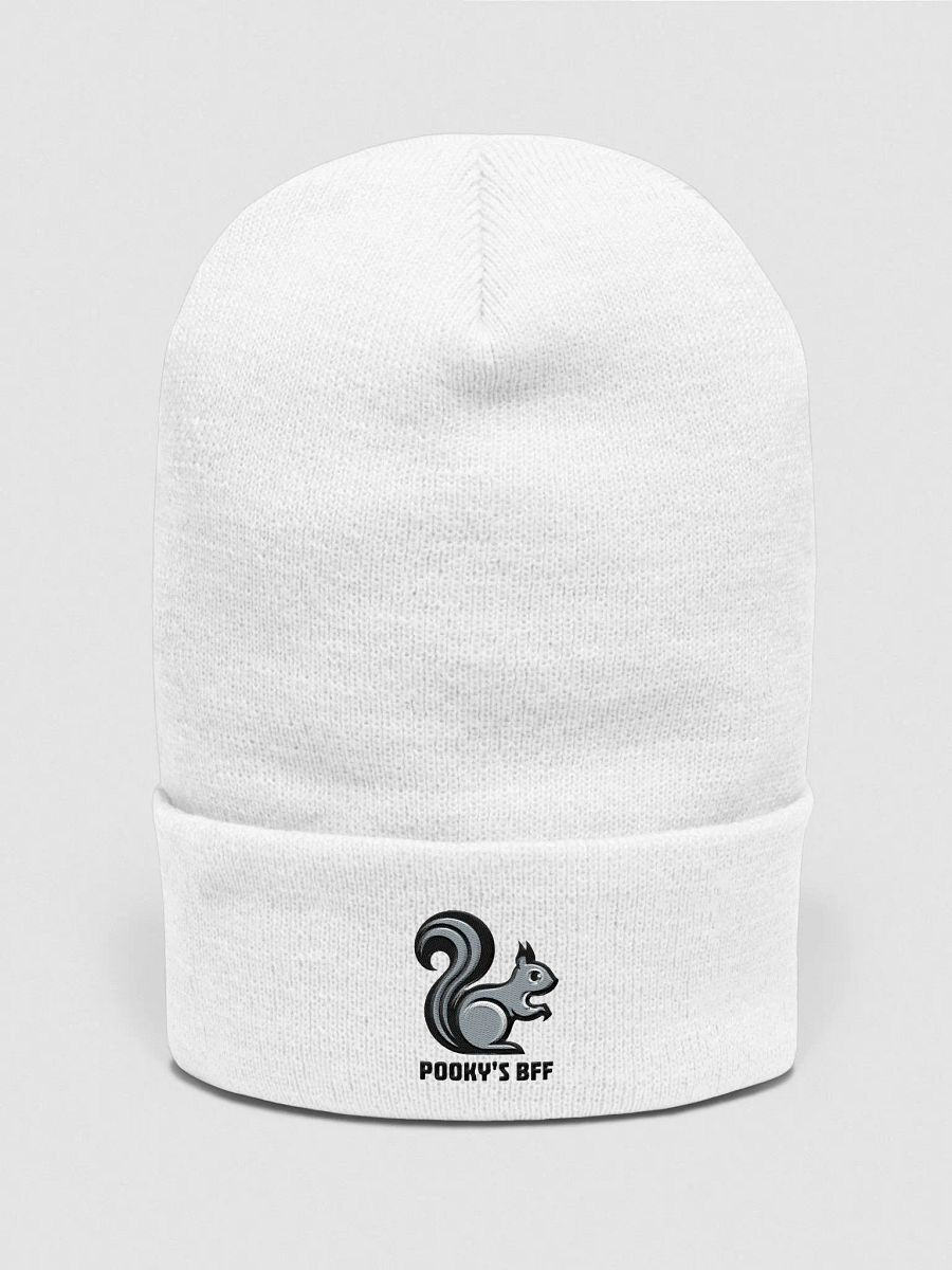 Pooky's BFF 60s Vibe Supersoft Beanie product image (1)