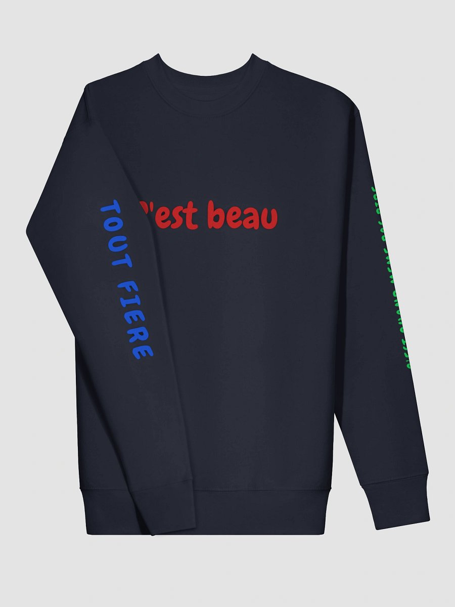 CEST BEAU HOODIE product image (30)