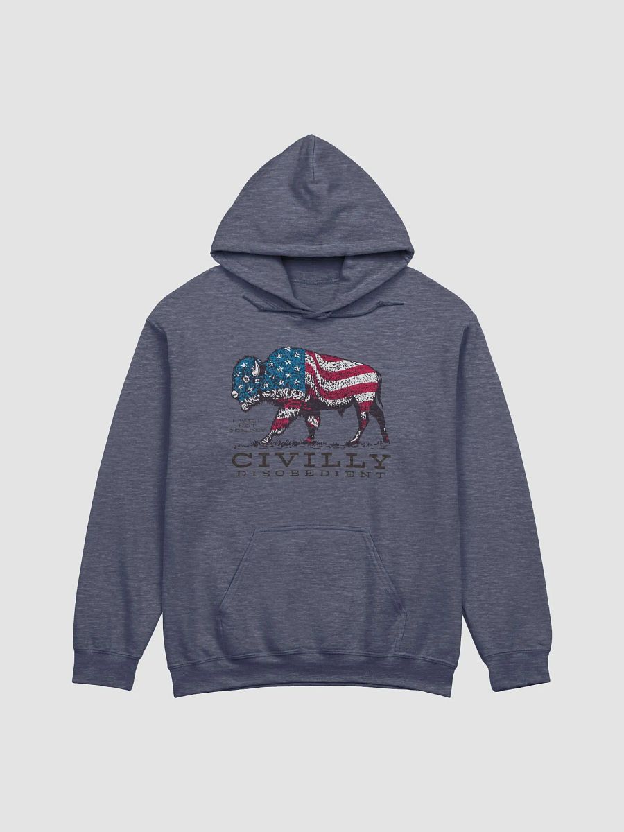 Defiant Bison Hoodie product image (3)