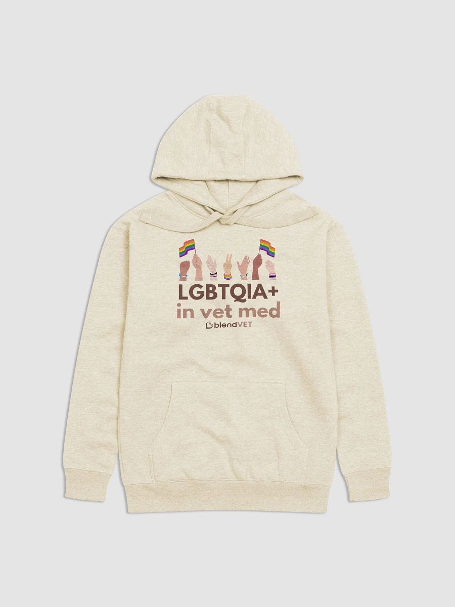 LGBTQIA+ in Vet Med Hoodie product image (1)