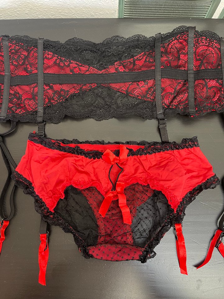 Lace, mesh, and satin Lingerie Panty and Garter Belt product image (1)