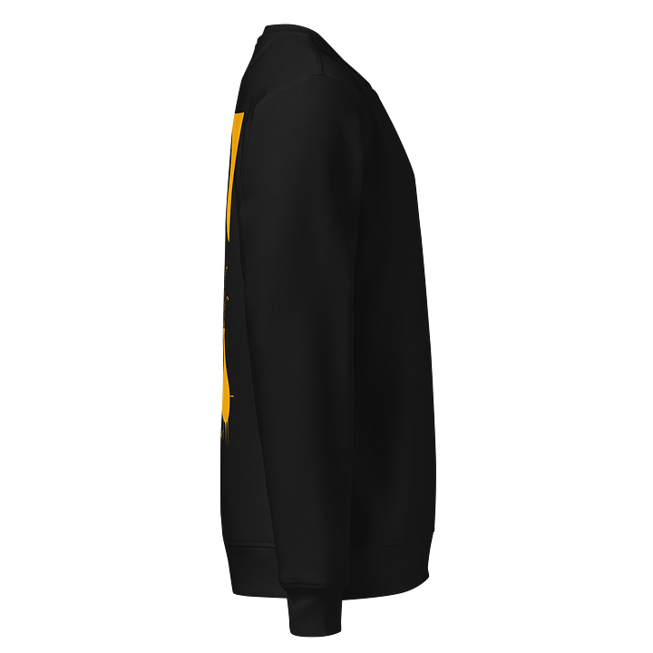 Stanley/Stella Unisex Organic Sweatshirt product image (2)