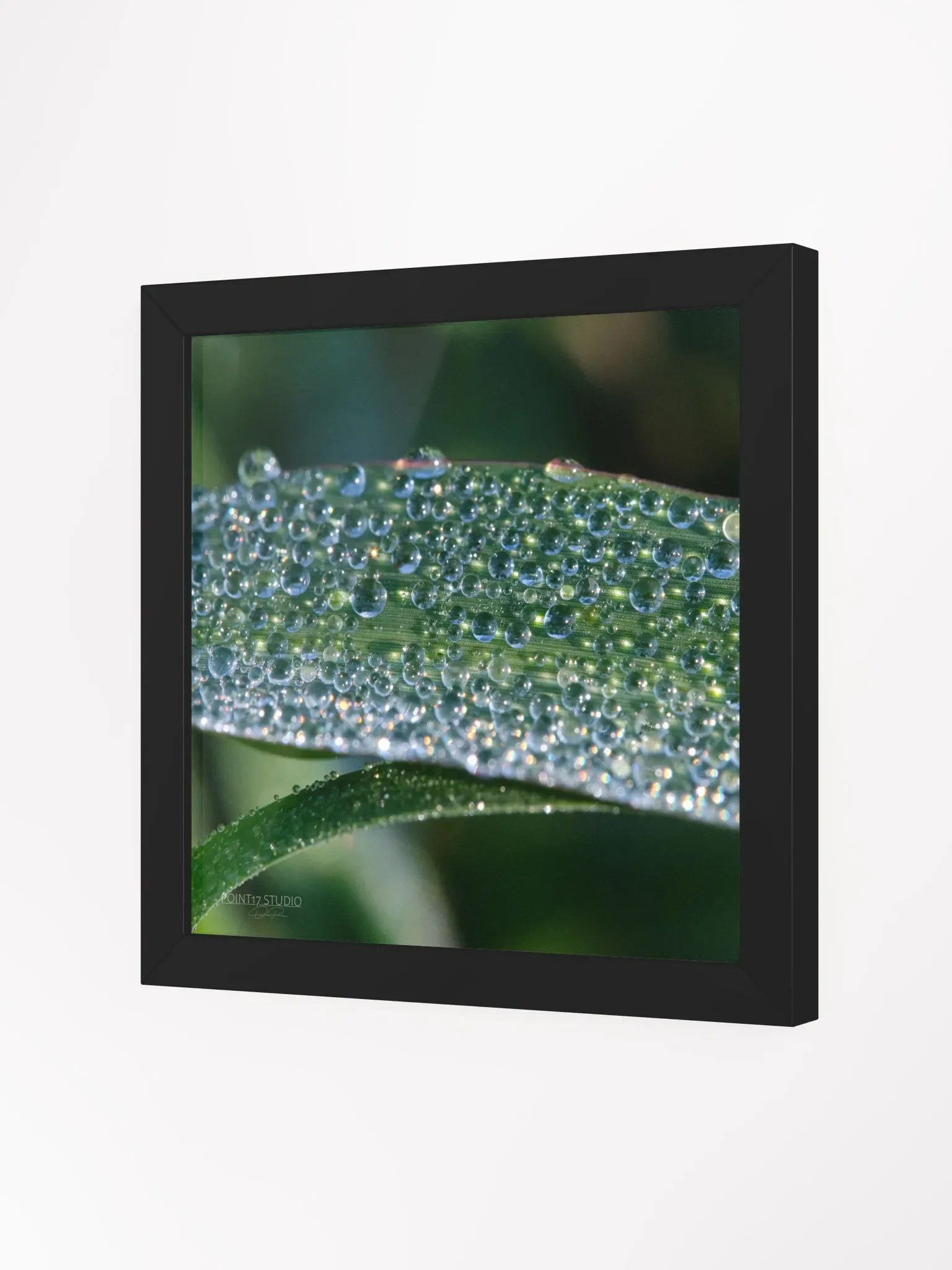 Dew Gems #1 - Framed Print product image (2)