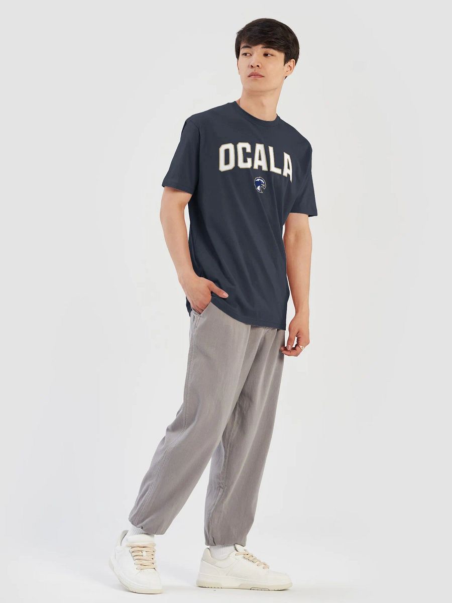 Ocala Eagle Emblem Premium T-Shirt product image (7)
