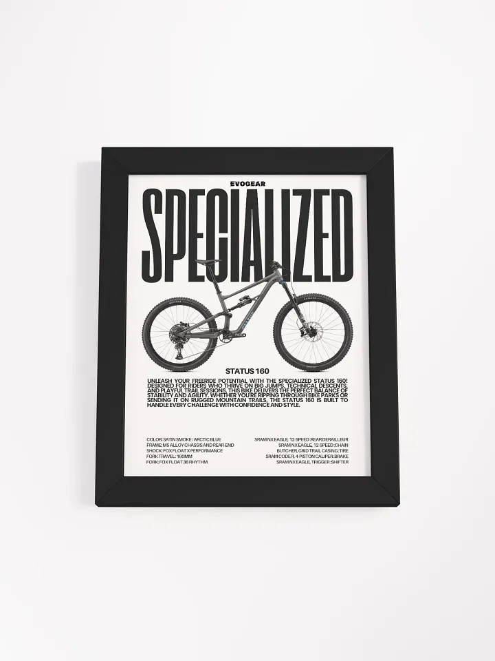 Specialized Status 160 Frame product image (4)