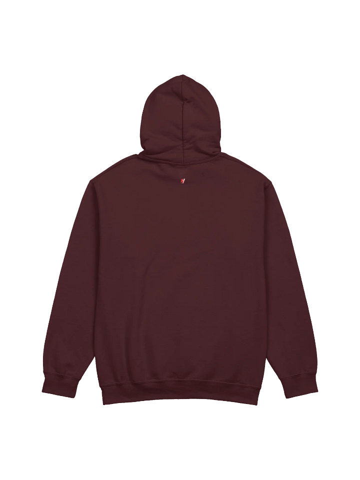 MERRY and BRIGHT Festive Hoodie product image (14)