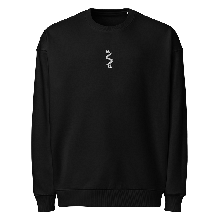 'OGsnark' embroidered OVERSIZED sweaty product image (1)
