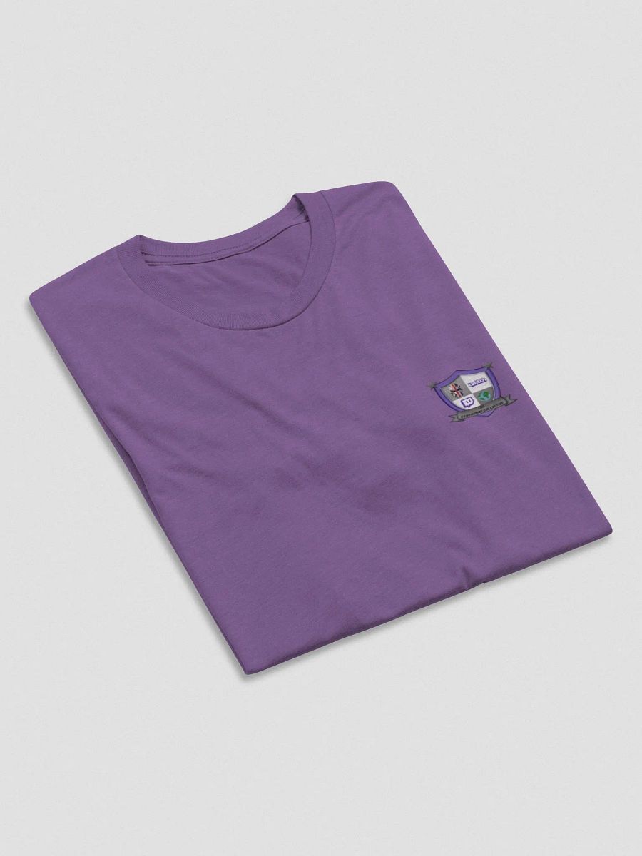 The Streaming Collective - Bella+Canvas Triblend Short Sleeve T-Shirt product image (64)