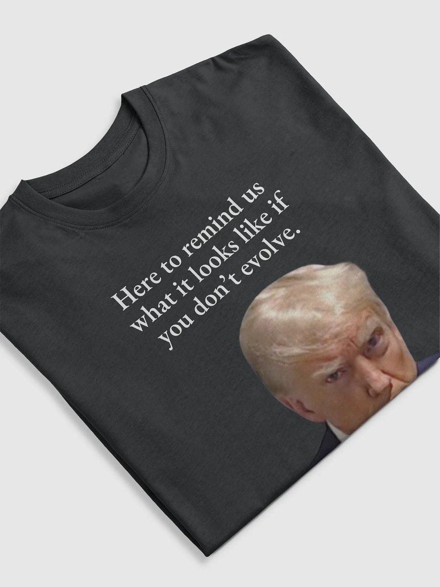 Here to remind us... Premium Cotton Heavyweight Tee product image (5)
