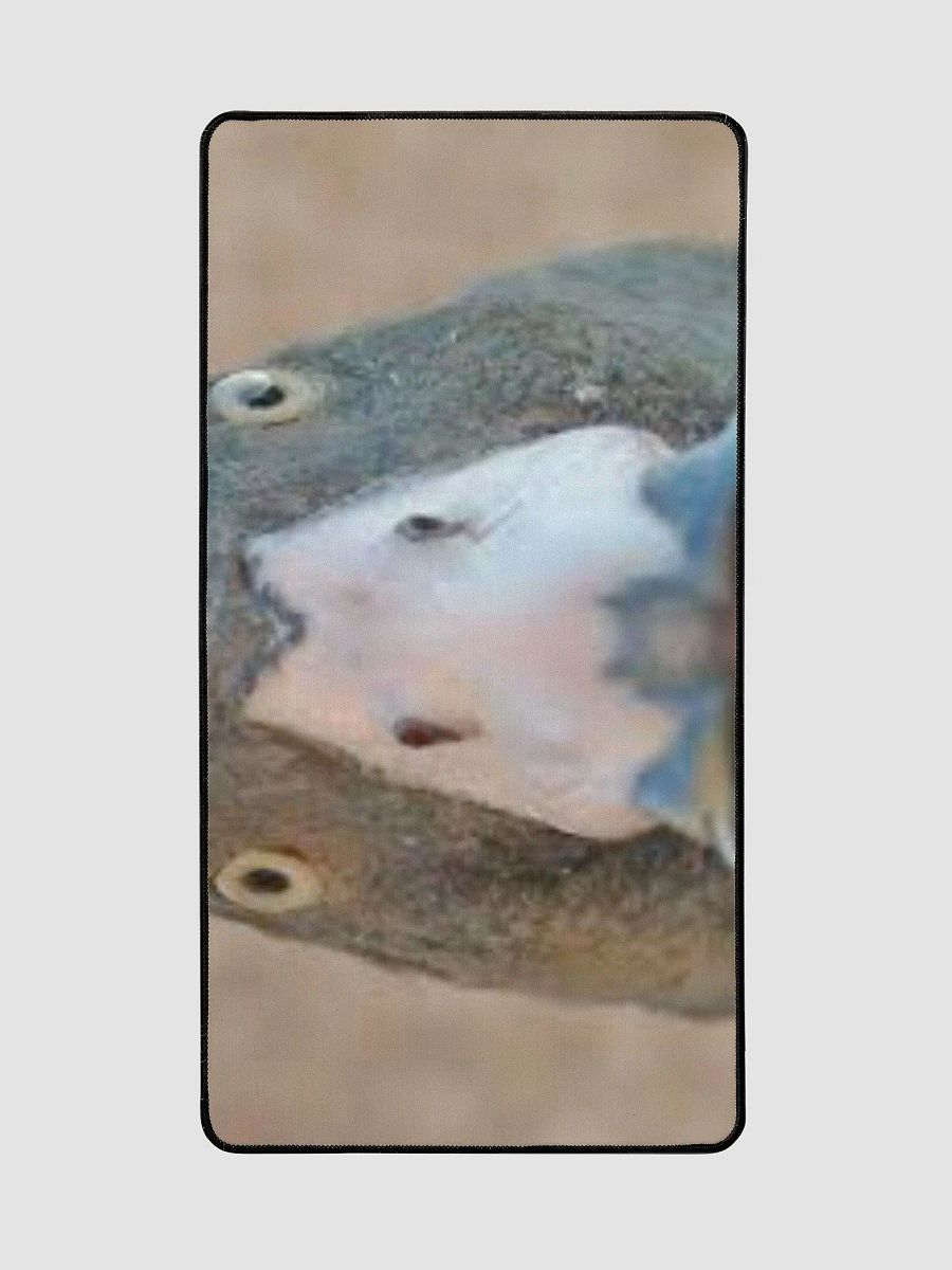 Duck Stare product image (2)