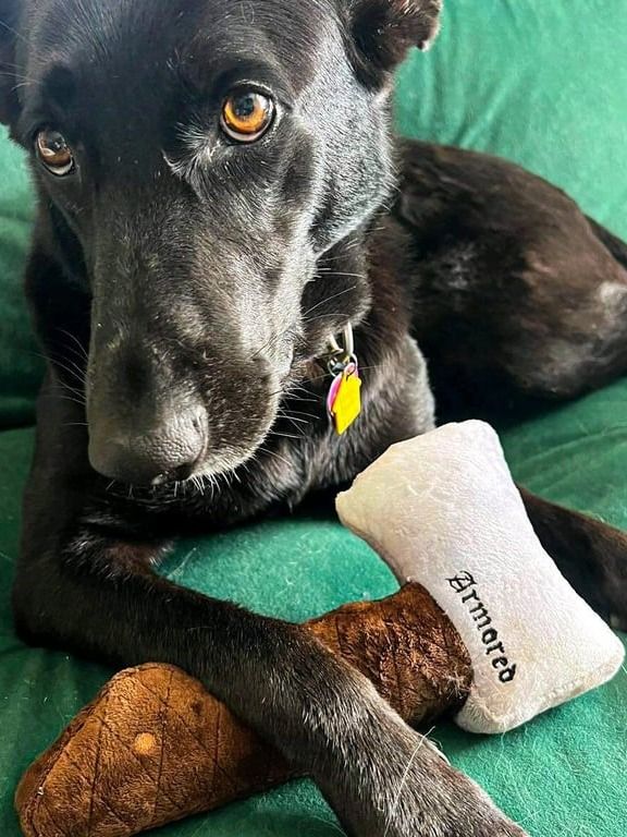The Armored Kingdom Barkbreaker Axe Squeaky Dog Chew Toy product image (4)
