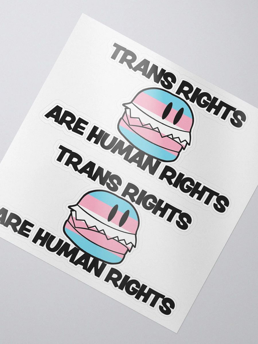 Trans Rights Stickers (2-pack) product image (2)
