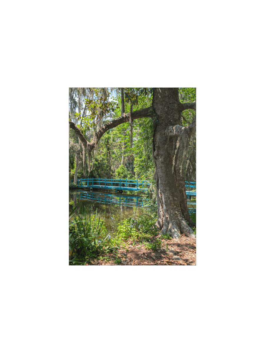Magnolia's Green Bridge Poster product image (3)
