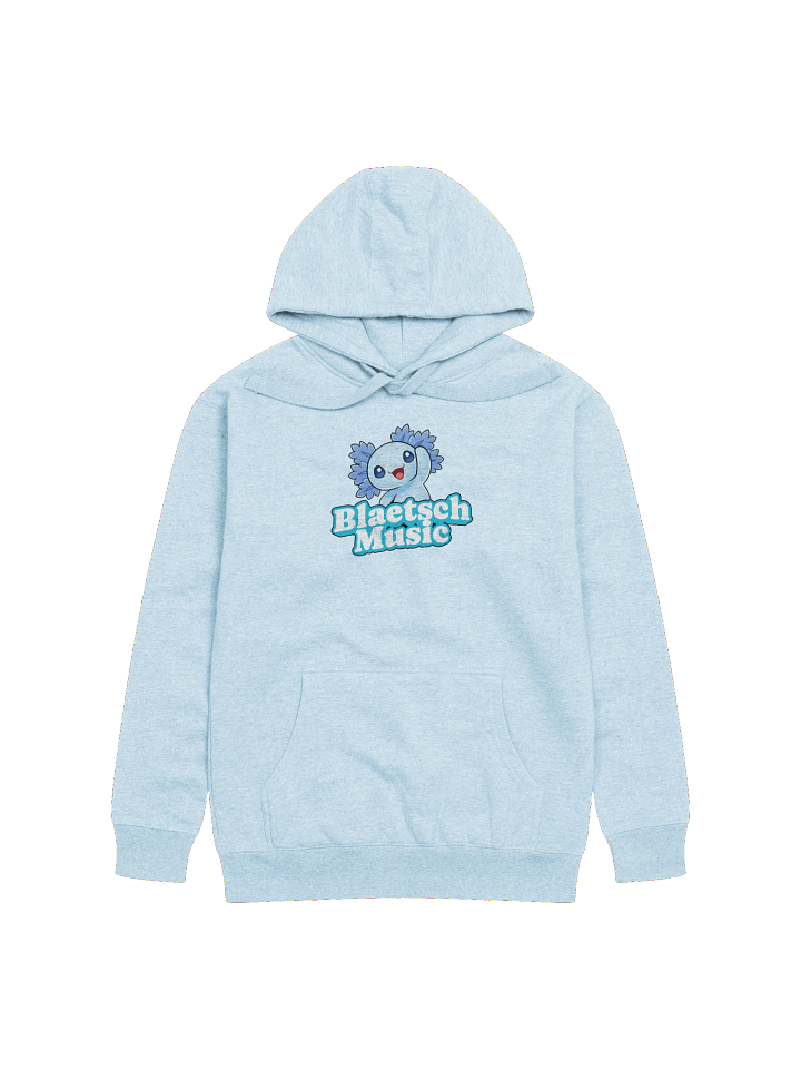 BM Merch Hoodie product image (5)