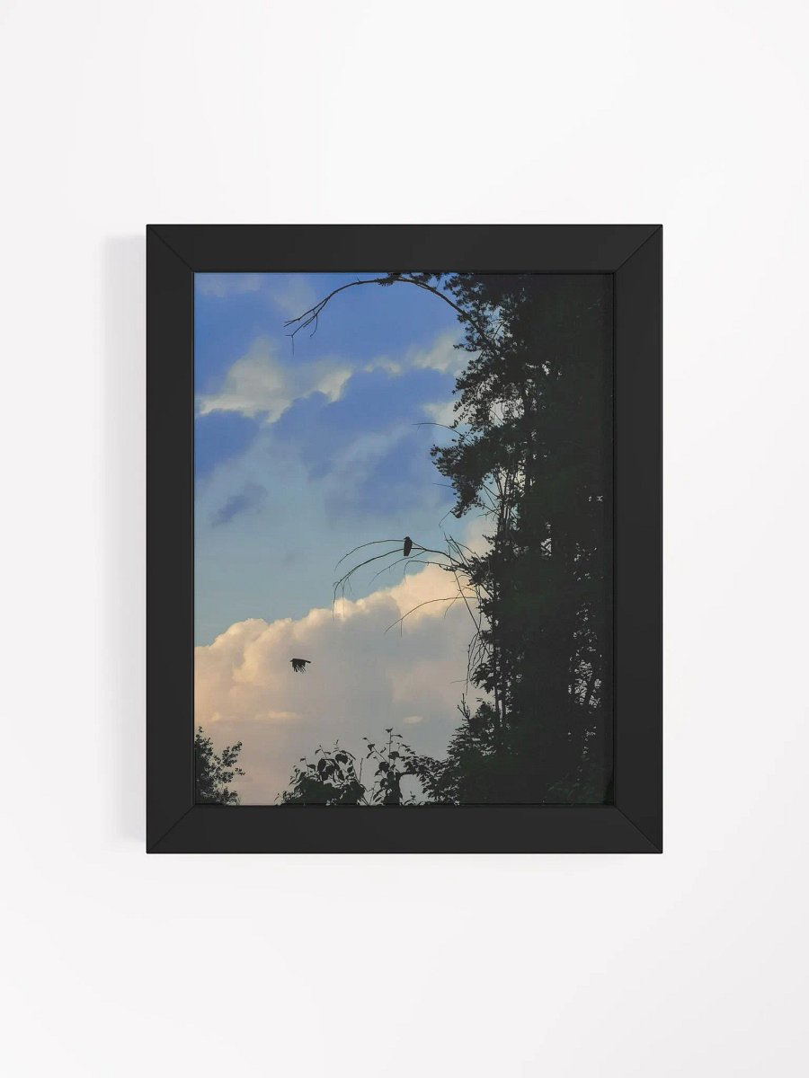 Ravens (Frame) product image (4)