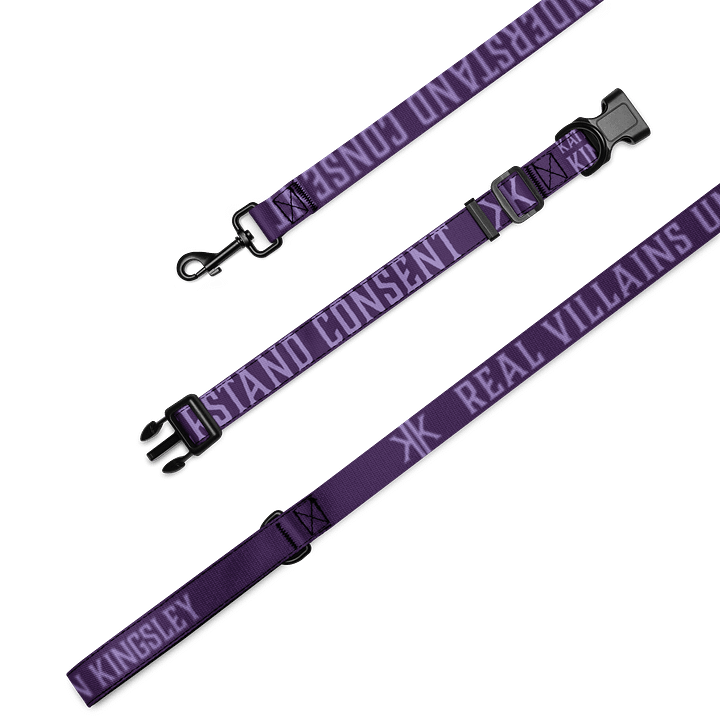 Real Villains Understand Consent - Leash & Collar Set product image (2)