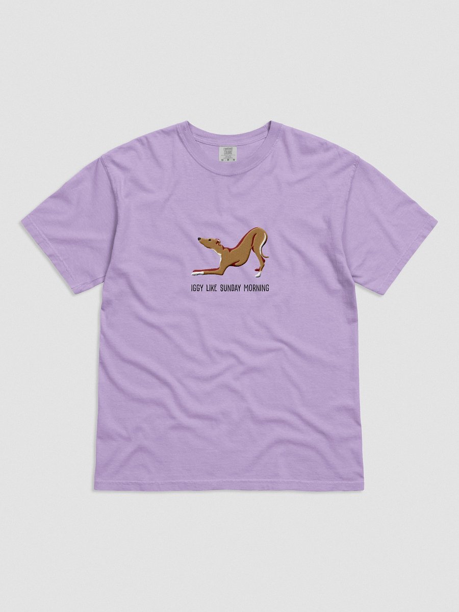 Iggy Like Sunday Morning T-Shirt(Embroidered) of an Italian Greyhound(Tan) product image (41)