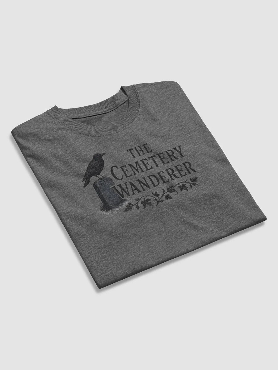 The Cemetery Wanderer Crow Relaxed Tee product image (45)