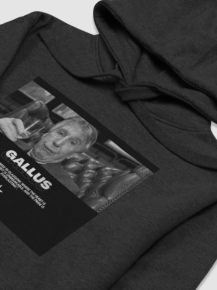 Gallus Hoodies product image (3)