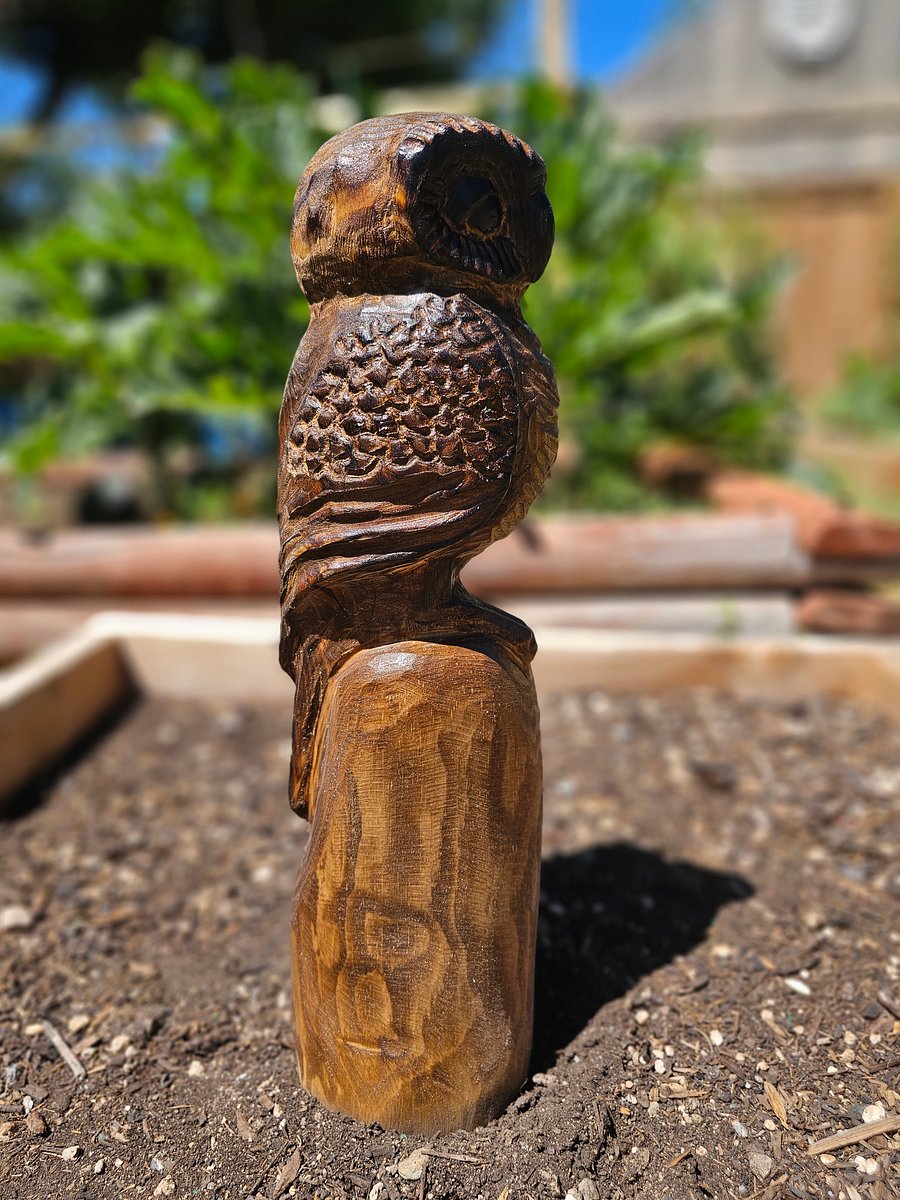 Sleepy Owl Wood Carving product image (4)