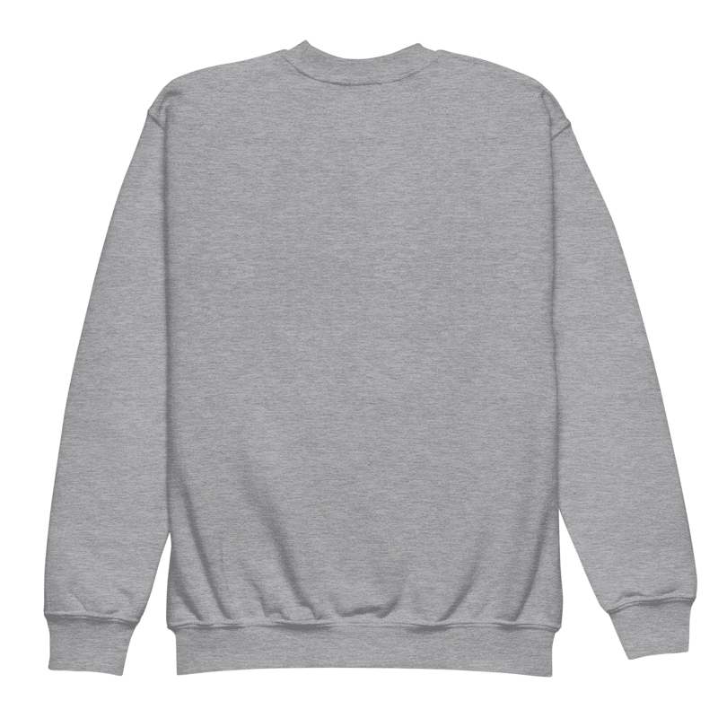 Youth Motivational Sweatshirt – Train Hard. Find Your Fire. Just Start product image (3)
