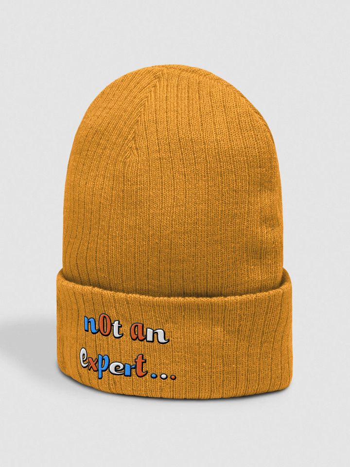 "not an expert..." Colour Beanie product image (2)