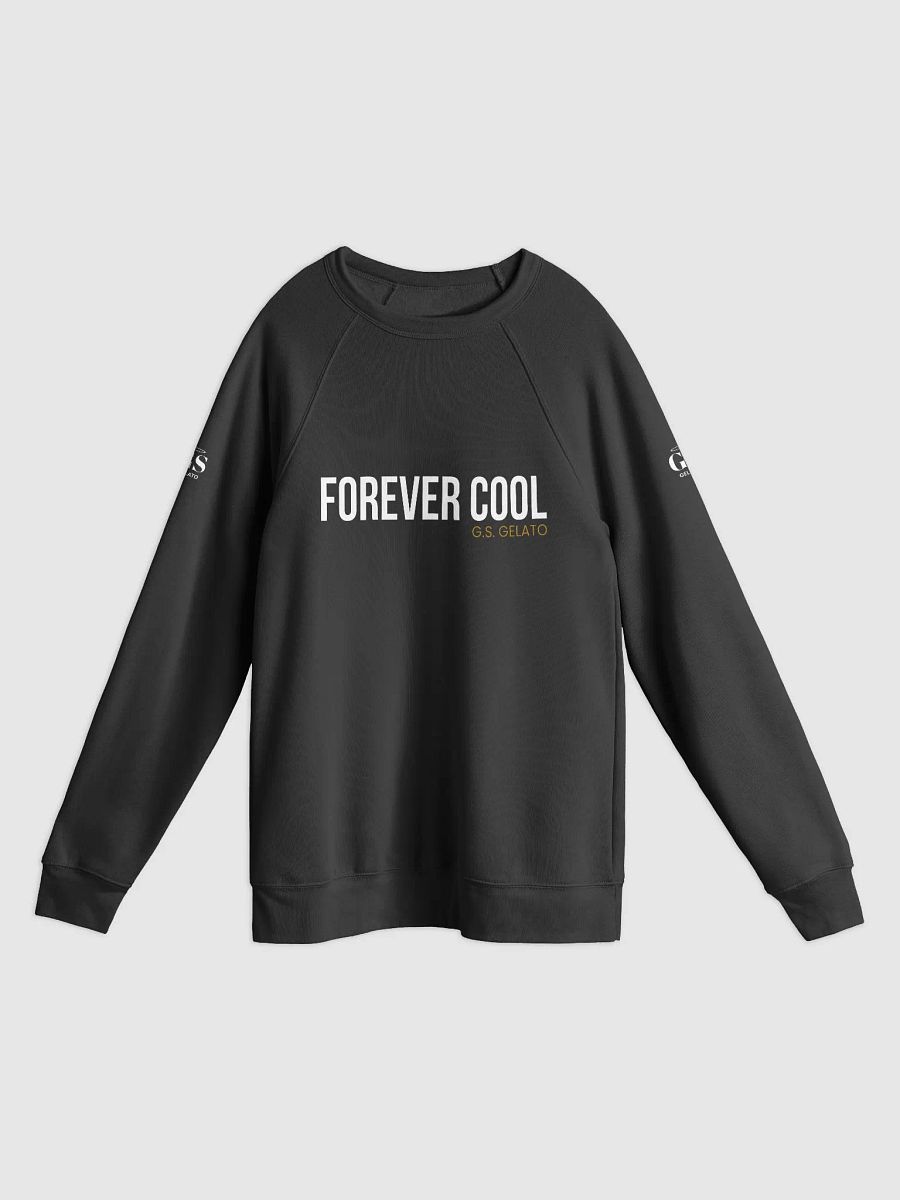 Forever Cool Raglan Sweatshirt product image (1)