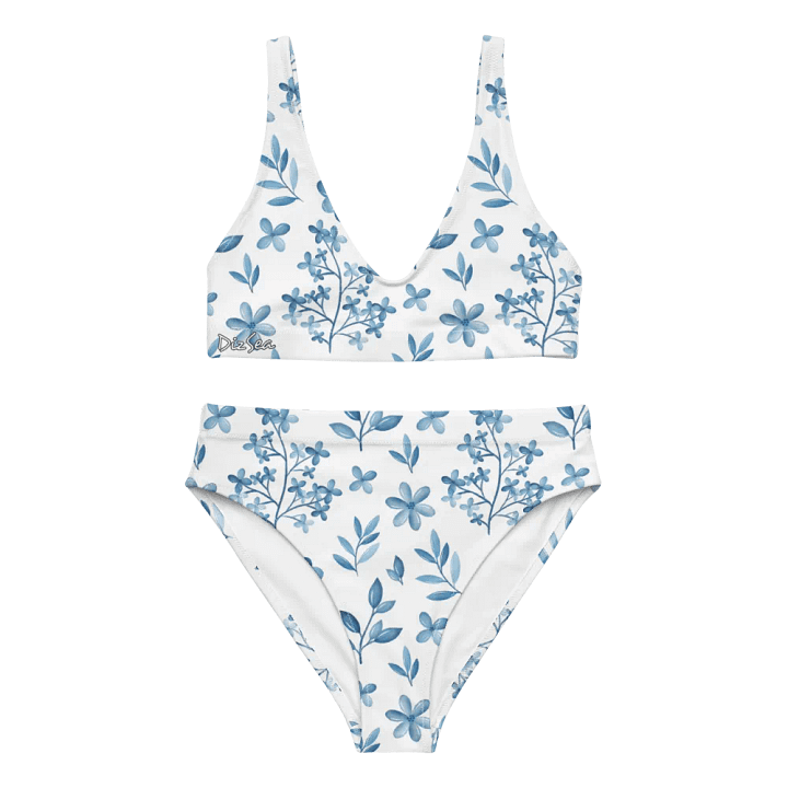 DizSea High Waisted Bikini product image (1)