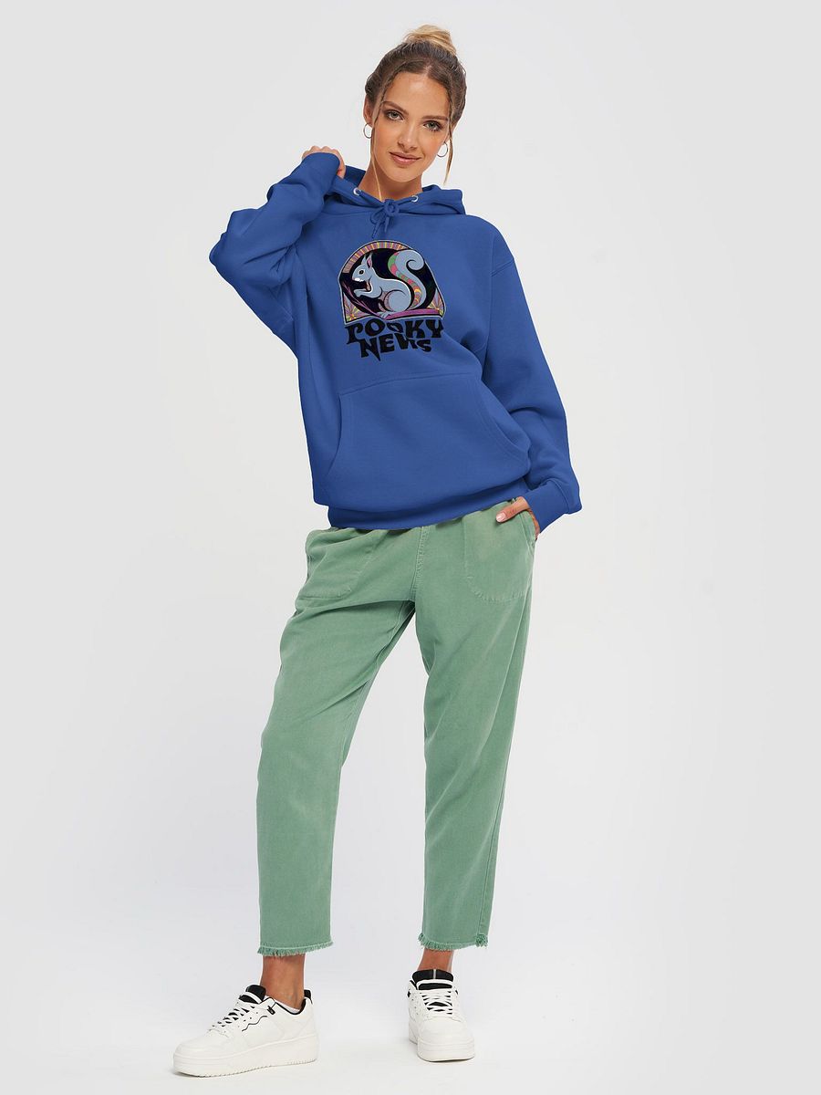 Premium, super soft Hoodie, Pooky News, stylized product image (5)