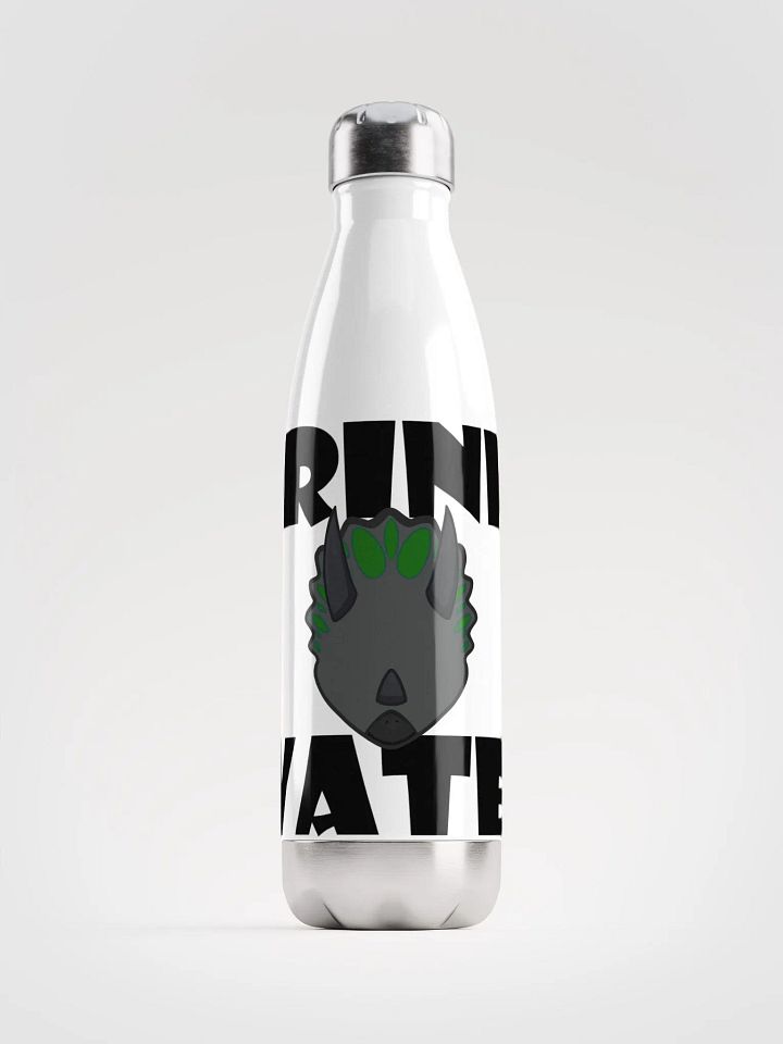 Stainless Steel Water Bottle Trike product image (1)