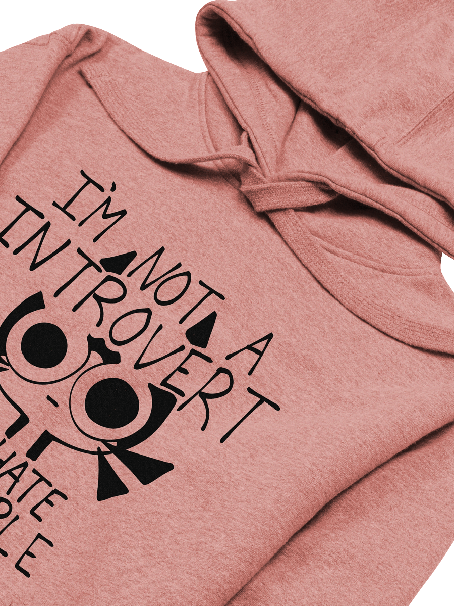 Howard "I hate people" Premium Hoodie product image (9)