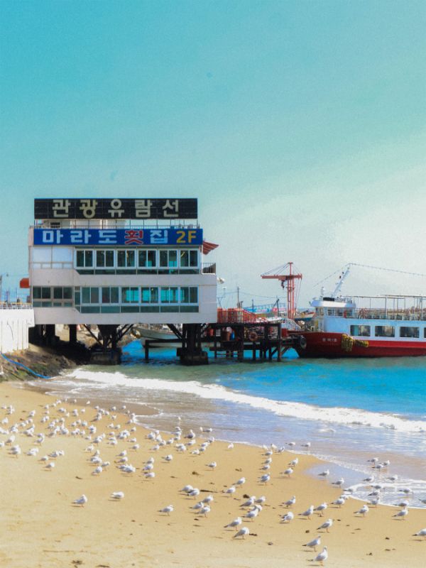 Docks of Busan - Photo product image (1)