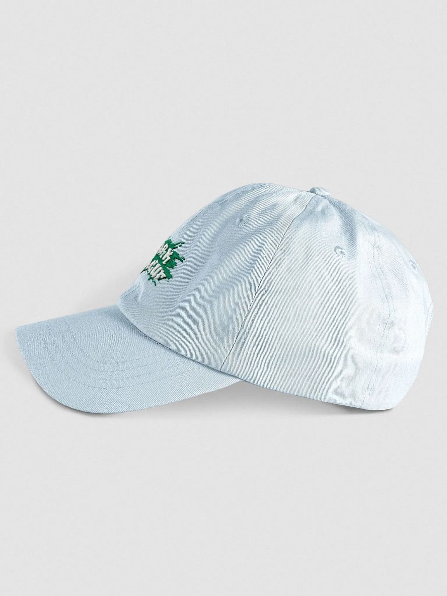 Season 1 Dad Hat - Embroidered product image (3)