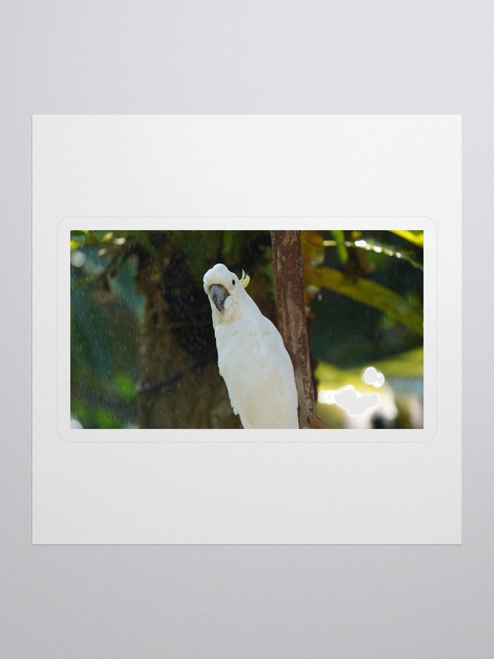 Crested Parrot Kiss Cut Stickers product image (1)
