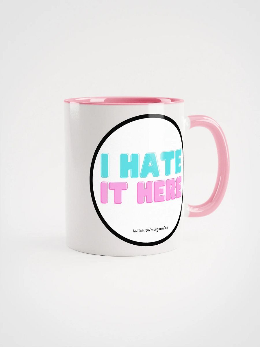 I HATE IT HERE MUG! product image (1)