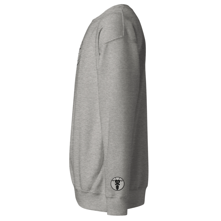 Unisex Eco Sweatshirt product image (2)