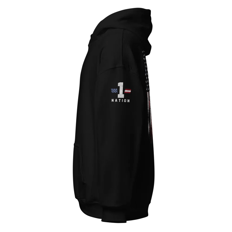 American Flag 3.0 Hoodie product image (2)