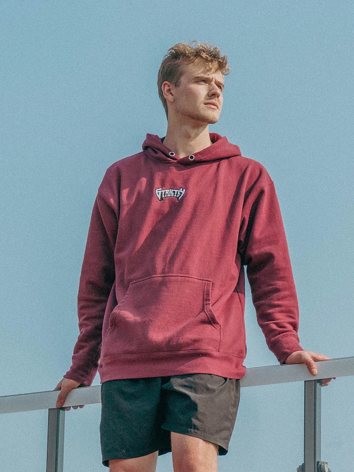Strictly Nolan's Hoodie product image (1)