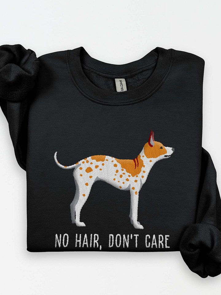 No Hair, Don't Care Sweatshirt (Embroidered) of an American Hairless Terrier(Brown & White) product image (1)