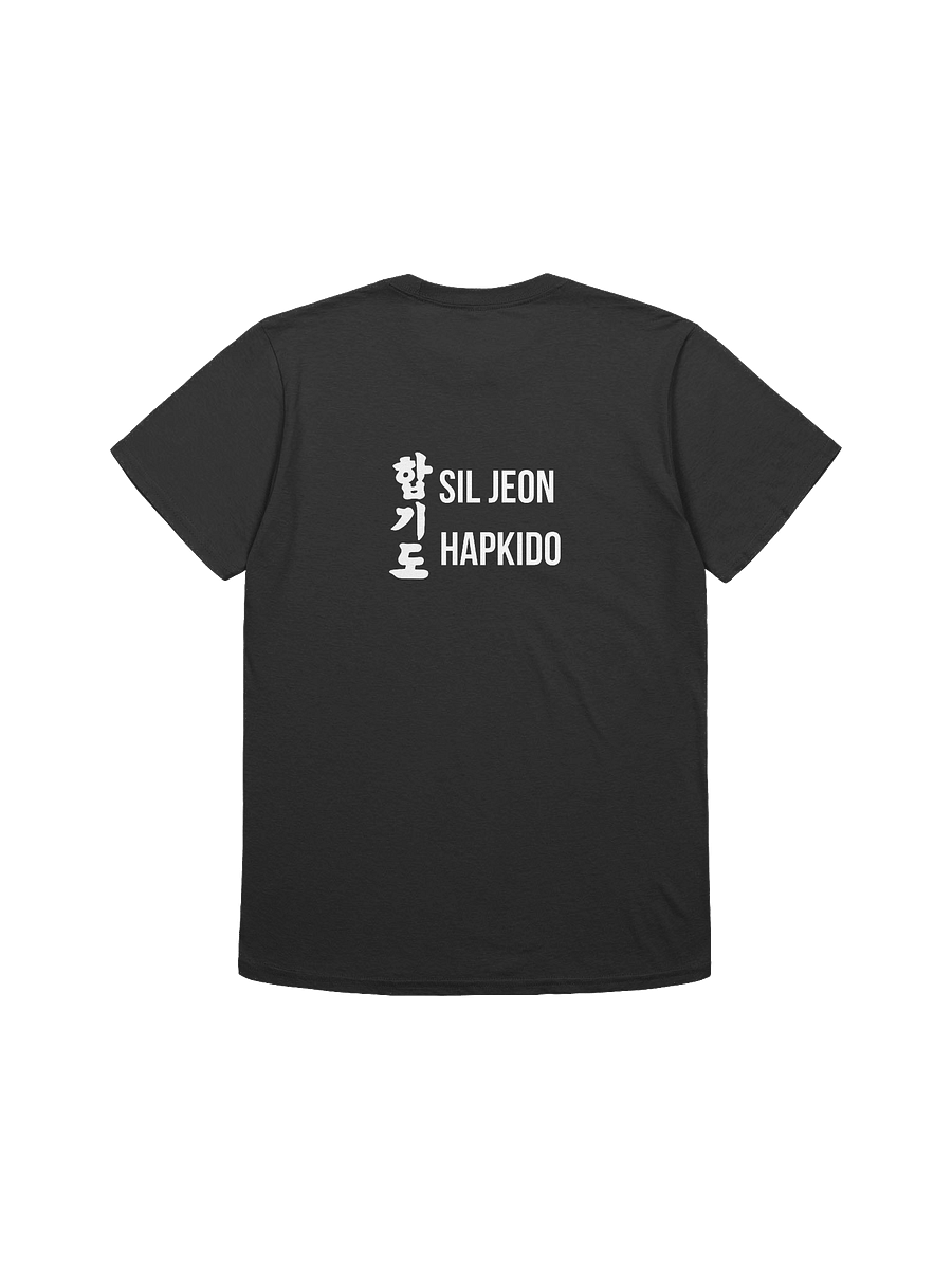 SilJeon Hapkido Organization Shirt! product image (5)