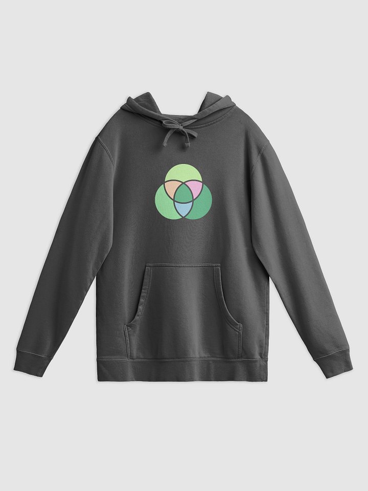 O2G Logo Hoodie — Washed in Legacy product image (1)