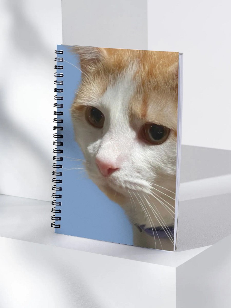 Thurston's Journal product image (4)