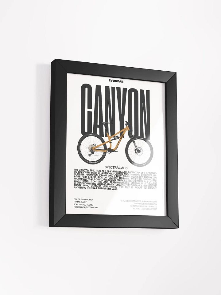 Canyon Spectral AL 6 Frame product image (2)