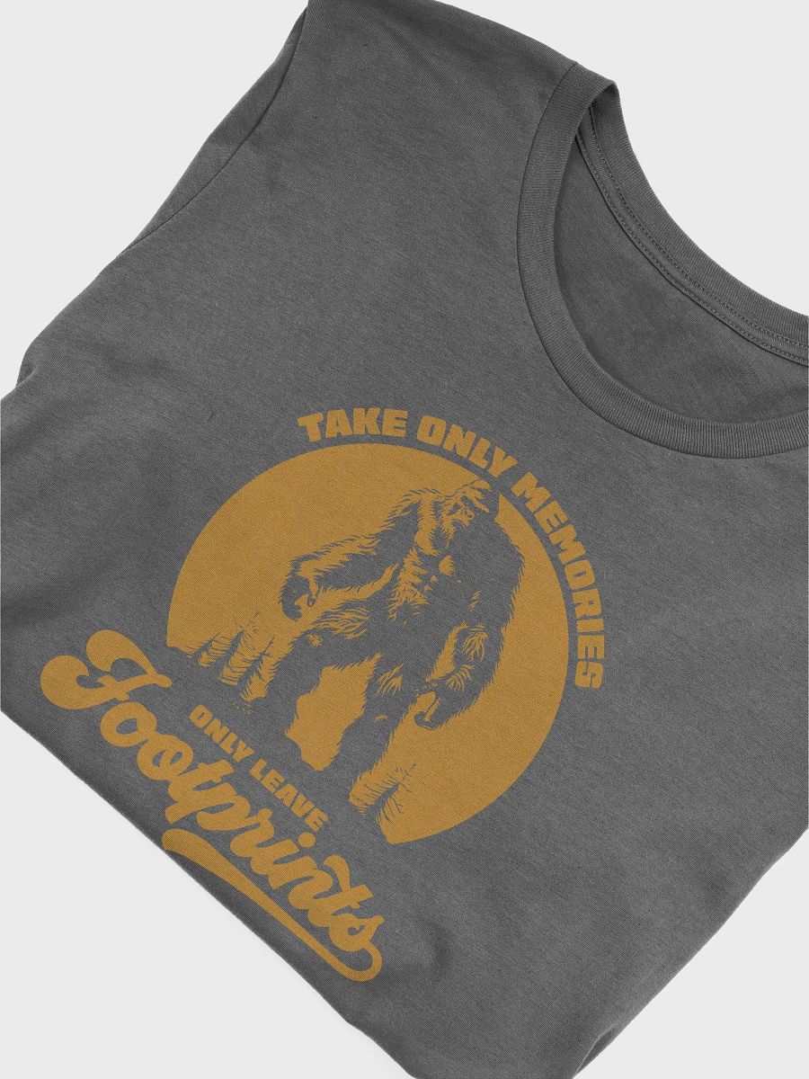 Take Memories Leave Footprints Funny Hiking T-shirt product image (3)